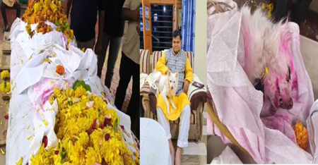 मालिक की अर्थी के पीछे चल रहा था डॉग, कुछ दूर चलते ही थम गईं सांसें, नम आंखों से दोनों को दी गई विदाई
