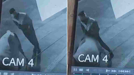 सड़क पर गाय के साथ अश्लील हरकत: CCTV में कैद हुई घटना, आरोपी गिरफ्तार